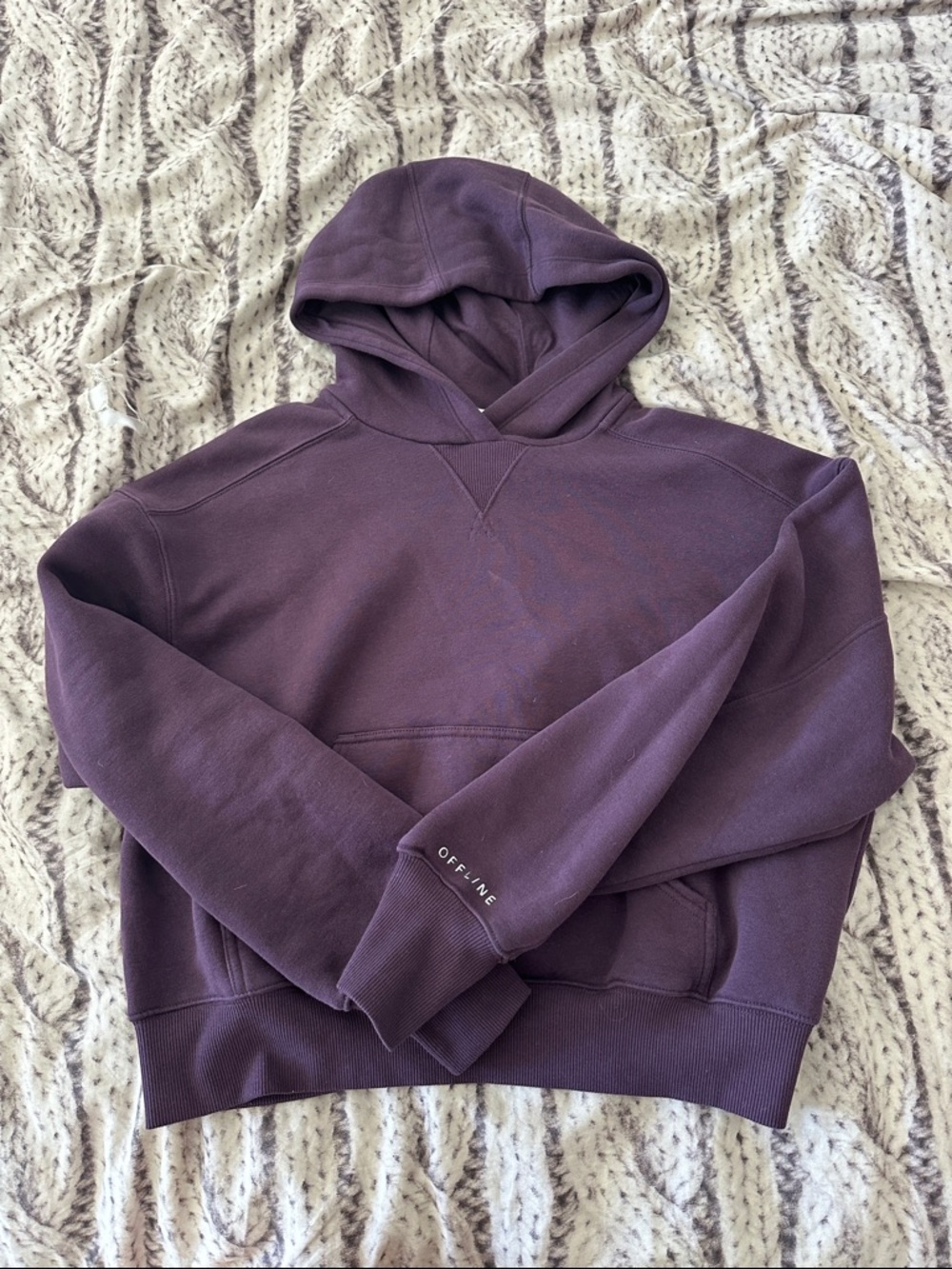 aerie Eggplant Purple Hooded Sweatshirt